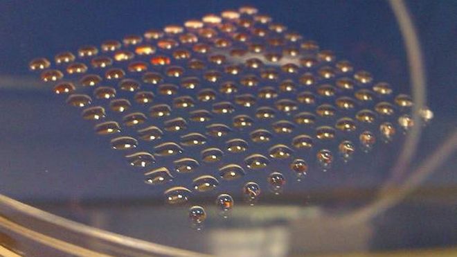 3D printer spits out human embryonic stem cells